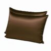 Mulberry Silk Pillowcase Set Coffee